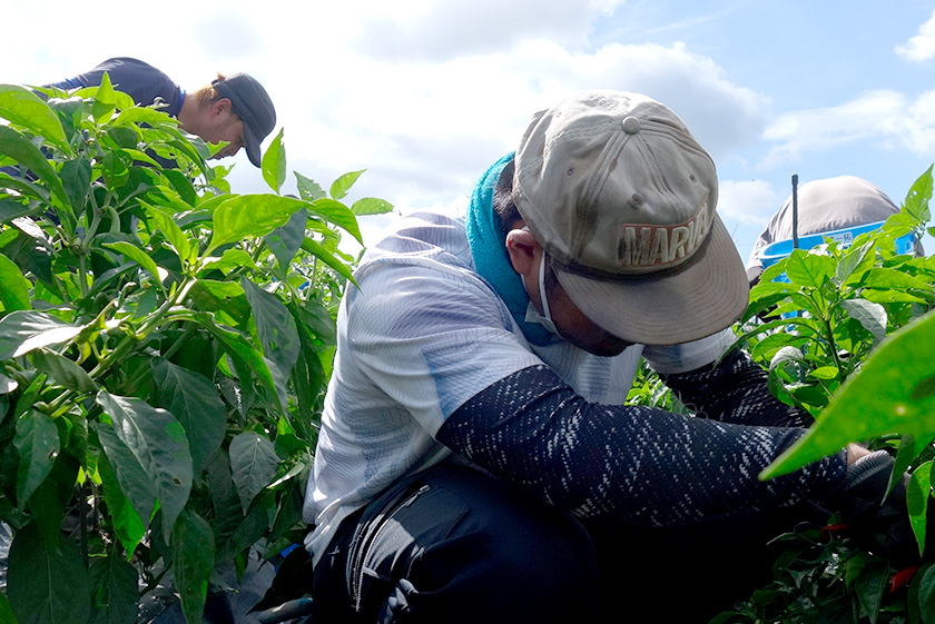 就労継続支援B型