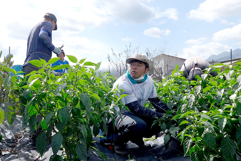 あたごファーム