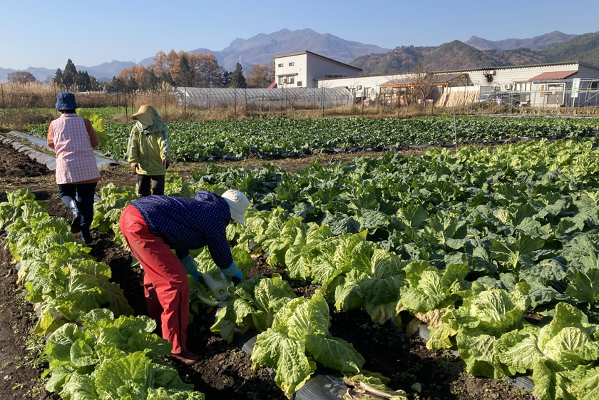 あたごファーム