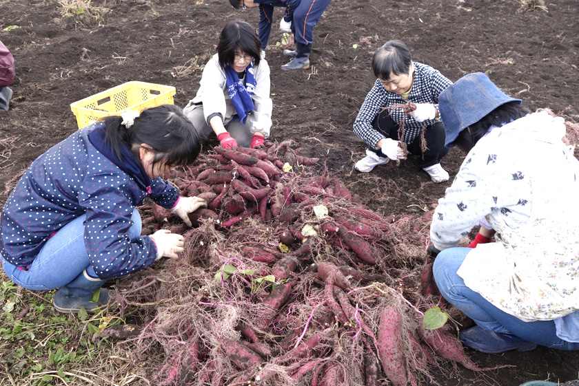 あたごファーム