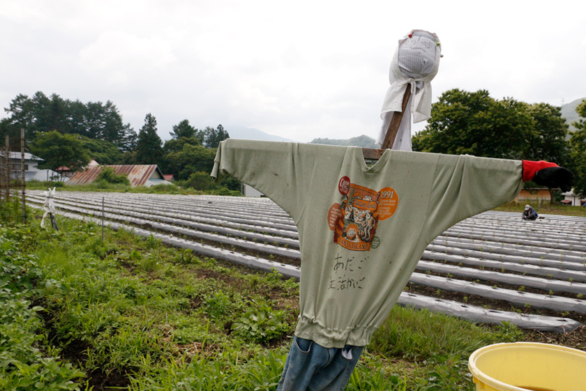 あたごファーム